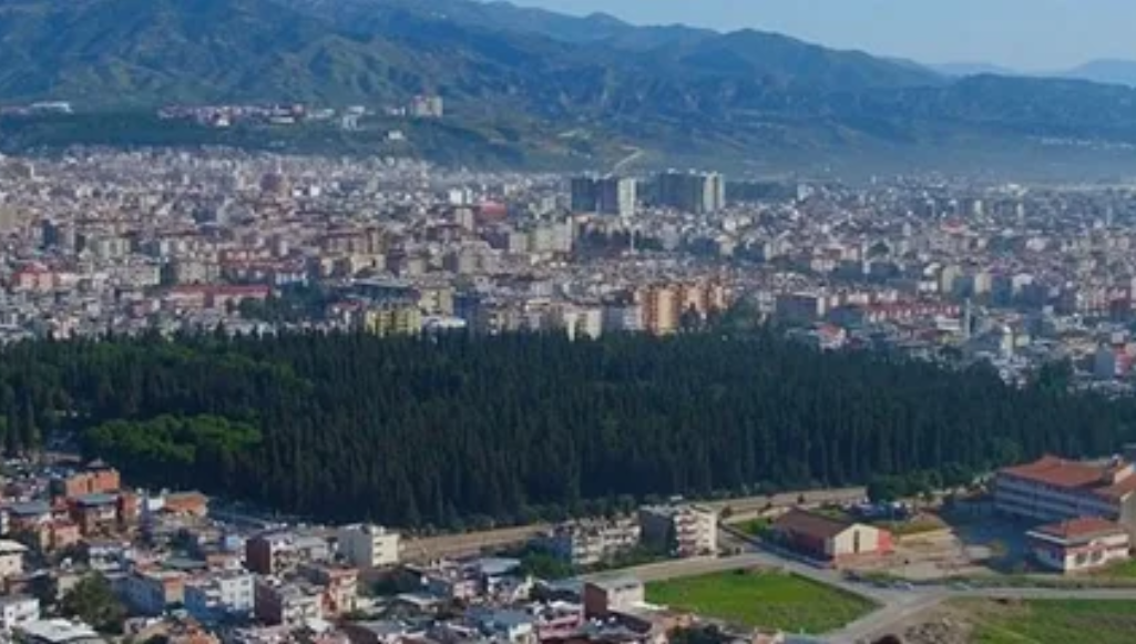 AYDIN EFELER BADEMLİ KÖYÜNDE 500 M² ARSA SATILIKTIR. - AYDIN EFELER fotoğraf 10